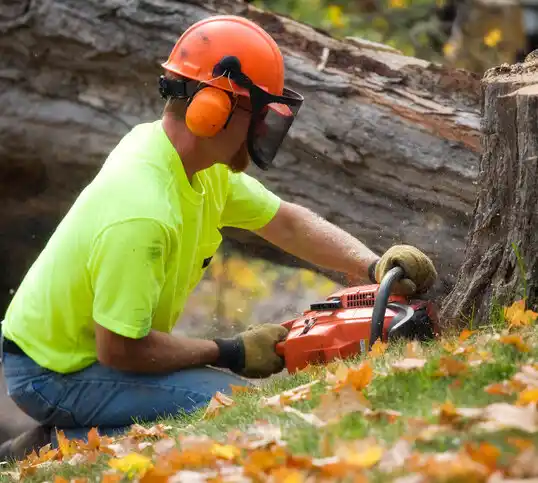 tree services Bunkie